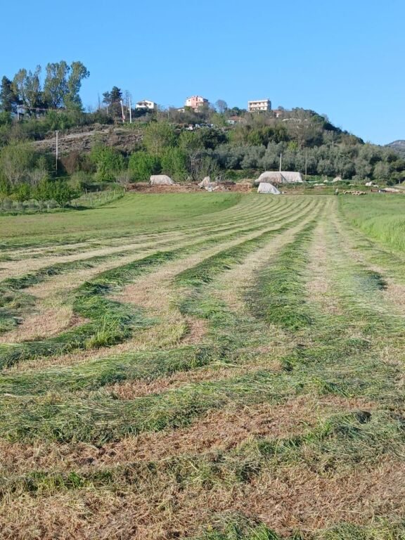 Tokë në shitje në Ndroq, Tiranë, 4 000 m². Foto 1 nga 5
