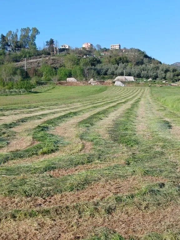 Land for sale in Ndroq, Tirana, 4,000 m². Photo 1 of 5