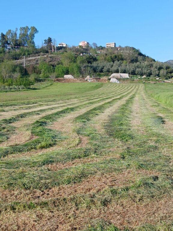 Tokë në shitje në Ndroq, Tiranë, 4 000 m²