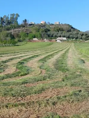 Land for sale in Ndroq, Tirana, 4,000 m². Photo 1 of 5