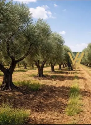 Terreno in vendita a Picalle, Tirana, 2.000 m². Foto 2 di 2