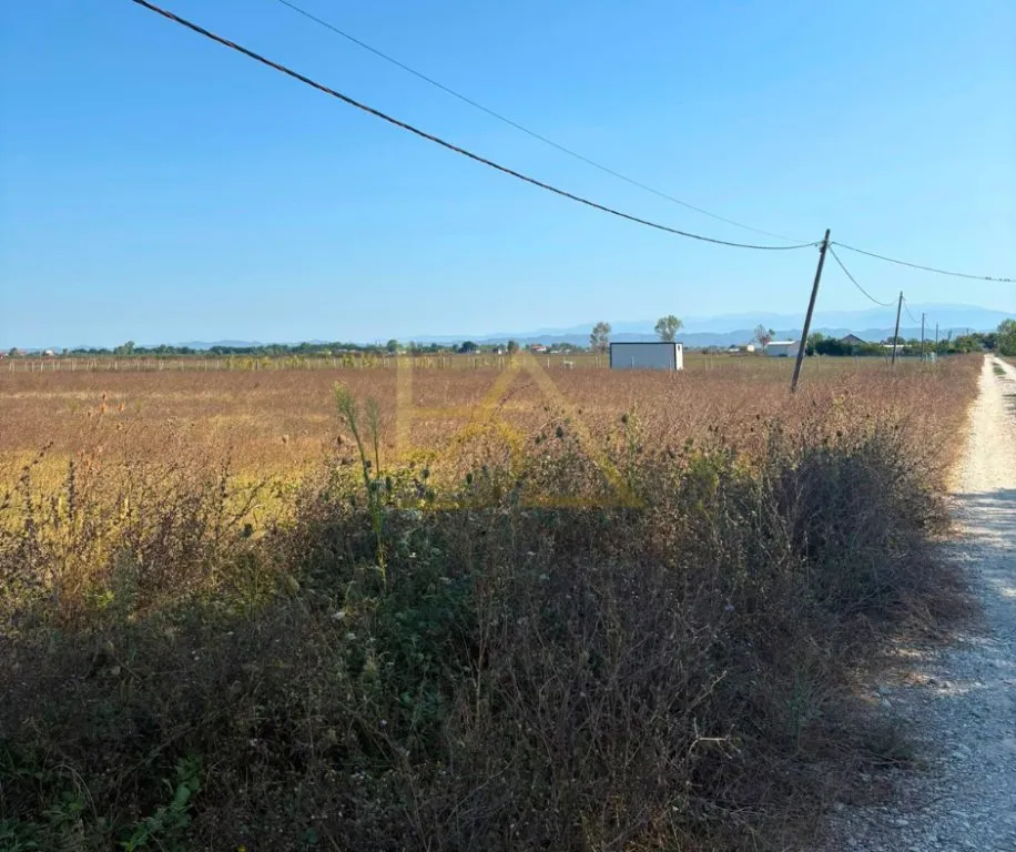 Tokë në shitje në Bisht Kamez, Durrës, 7 000 m². Foto 1 nga 6