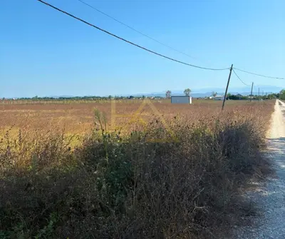 Tokë në shitje në Bisht Kamez, Durrës, 7 000 m². Foto 1 nga 6