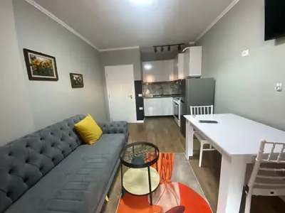 Appartamento 1+1 in affitto ad Ish Dogana, Tirana, 55 m². Foto 3 di 9