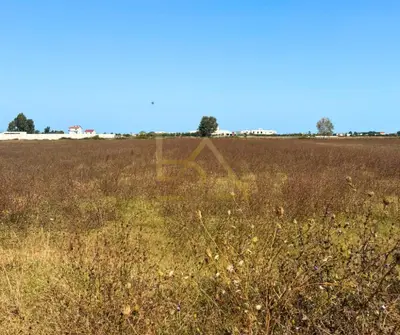 Tokë në shitje në Bisht Kamez, Durrës, 7 000 m². Foto 2 nga 6
