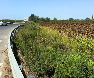 Land for sale in Derven, Durrës, 9,050 m². Photo 3 of 4