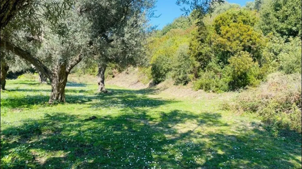 Land for sale in Lukove, Sarandë, 1,000 m². Photo 1 of 5