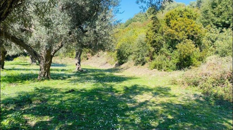 Tokë në shitje në Lukove, Sarandë, 1 000 m². Foto 1 nga 5