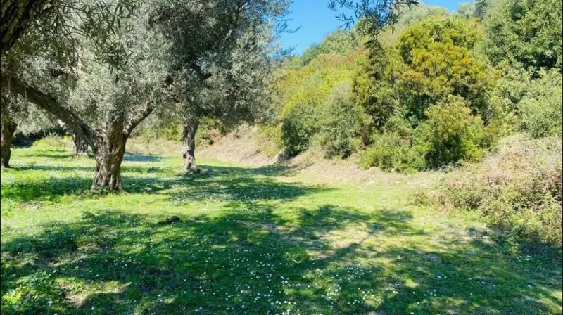 Tokë në shitje në Lukove, Sarandë, 1 000 m²