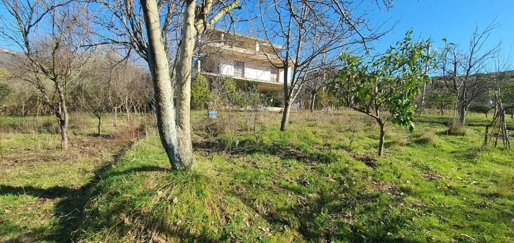 Shtëpi private në shitje në Ibë, Tiranë, 394 m². Foto 1 nga 10