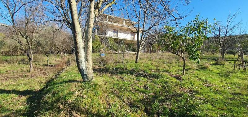 Casa indipendente in vendita a Ibë e Poshtme, Tirana, 394 m²