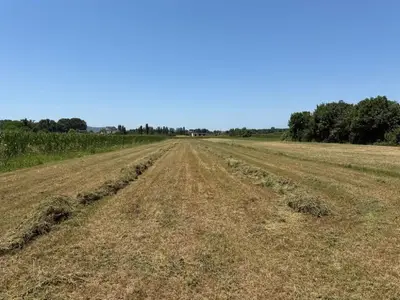 Land for sale in Bushnesh, Krujë, 4,000 m². Photo 2 of 3