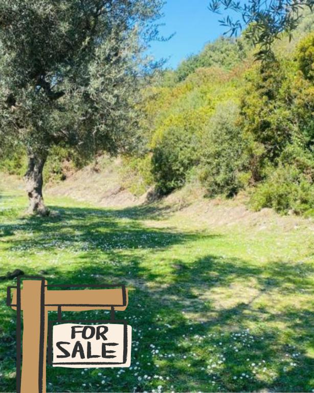 Tokë në shitje në Lukove, Sarandë, 1 010 m²
