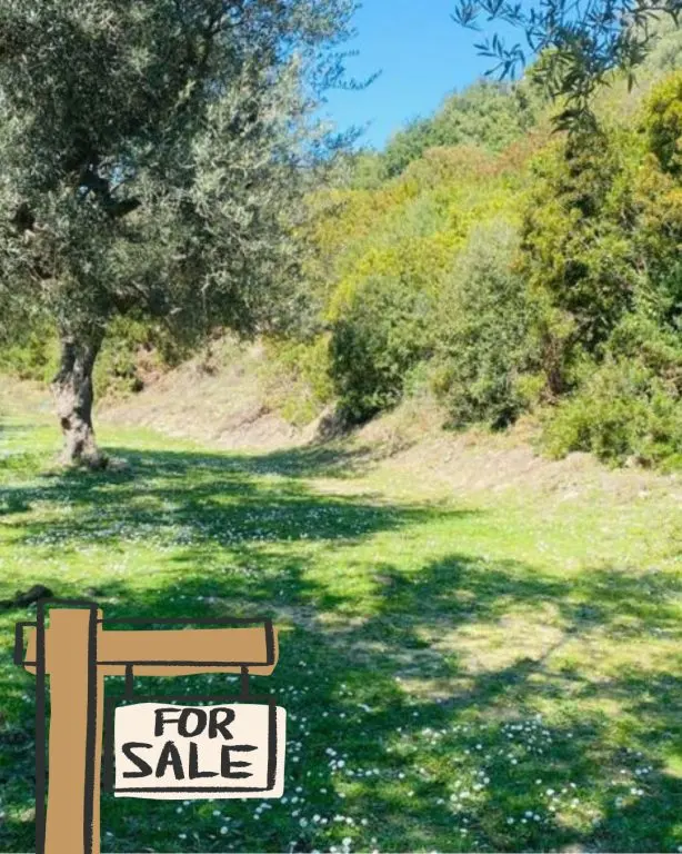 Tokë në shitje në Lukove, Sarandë, 1 010 m²