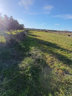 Tokë në shitje në Panaja, Vlorë, 1 000 m². Foto 8 nga 9